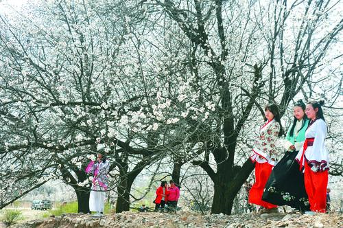 鲸鱼足球直播app 界面预览